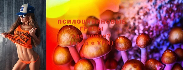 PSILOCYBIN Верхний Тагил